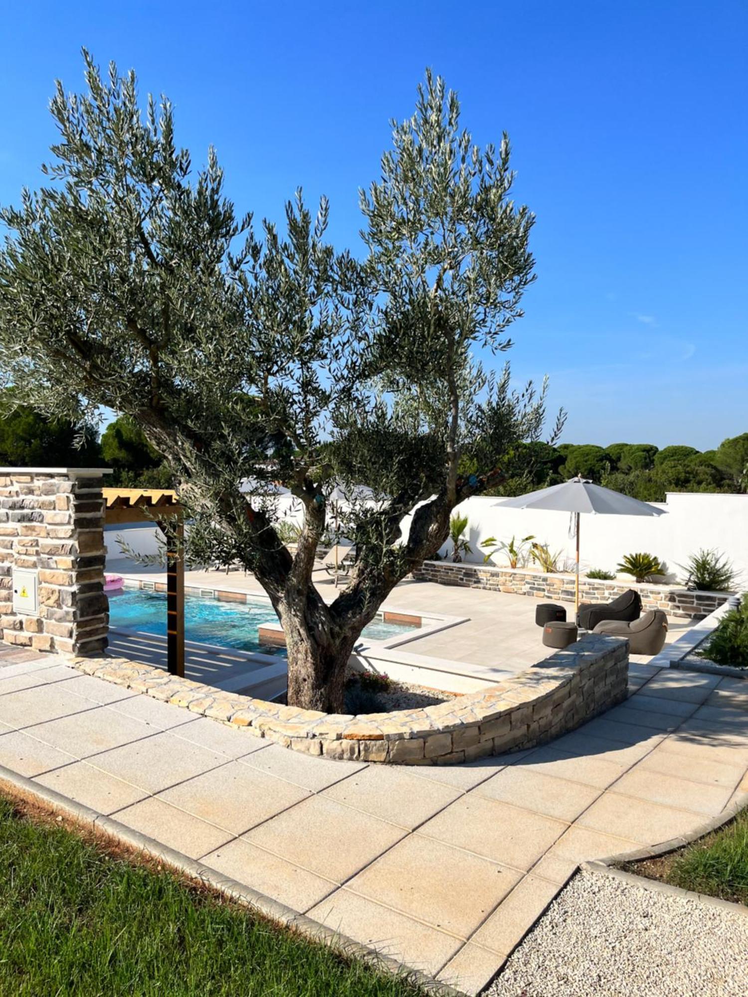 Olivea Luxury Suites فاجانا المظهر الخارجي الصورة